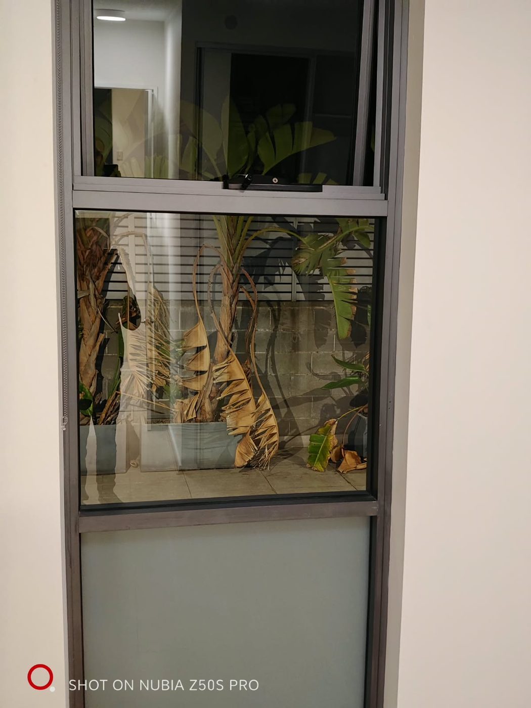 Completed cleaning result 31 by Pure Estate Cleaning in Sydney